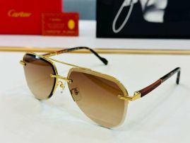 Picture of Cartier Sunglasses _SKUfw56969734fw